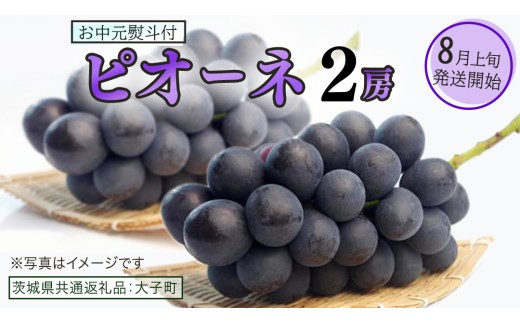 【 お中元 熨斗付き 】 ピオーネ ２房 【2026年8月上旬発送開始】(茨城県共通返礼品：大子町) ブドウ ぶどう 葡萄 ピオーネ 果物 フルーツ 果実