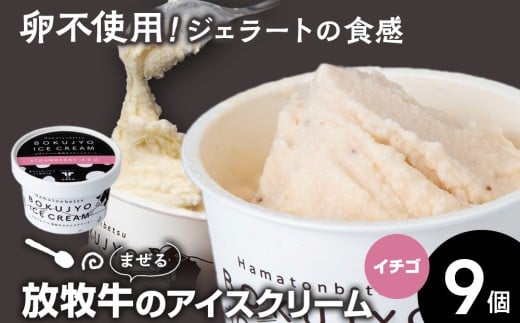 放牧牛 アイスクリーム イチゴ　9個 【池田牧場】