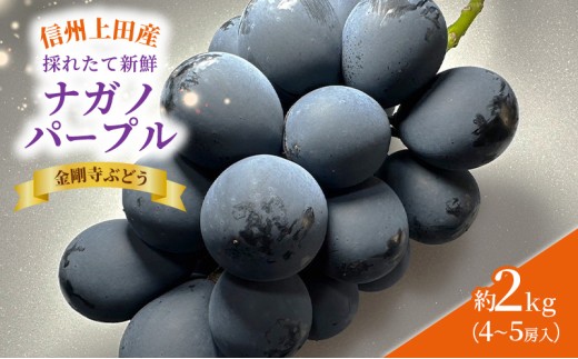 ナガノパープル 信州上田産金剛寺ぶどう 約2kg 4～5房 ぶどう 葡萄 ブドウ 長野パープル 2kg 果物 くだもの フルーツ デザート 旬の果物 旬のフルーツ 長野県 長野