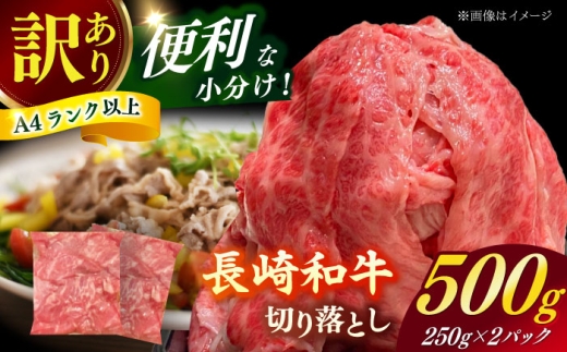 【訳あり】長崎和牛（バラ、モモ、肩ロースのいずれか）500g 切り落とし 250g×2P 小分け 【株式会社時愉亭】 [RCE021]