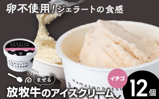 放牧牛 アイスクリーム12個（イチゴ） 【池田牧場】