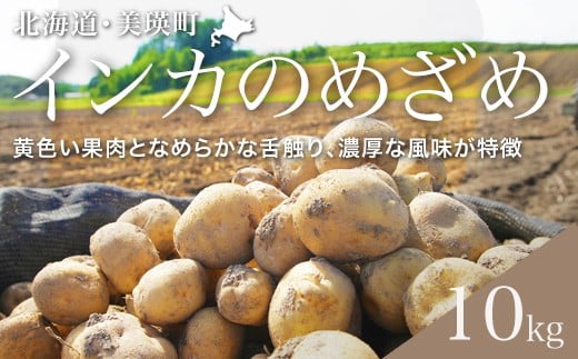 【先行予約】 じゃがいも （インカのめざめ）10kg <令和8年産 >黒木農場  | 人気 おすすめ ランキング いも 芋 イモ じゃがいも ジャガイモ インカの目覚め 北海道 野菜[018-63]