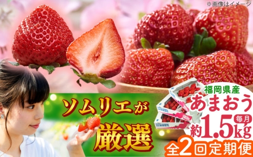 【全2回定期便】福岡産【春】 あまおう 6パック 吉富町/南国フルーツ株式会社 [BGAG052]