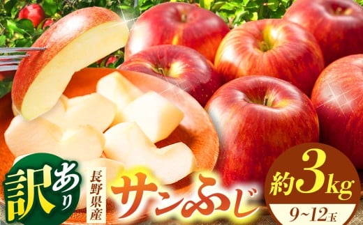 松本市産 訳ありサンふじ 約３kg( 9～12玉) | ふるさと納税 果物 くだもの 訳あり ワケアリ フルーツ サンふじ リンゴ りんご 林檎 信州産 長野県 松本市 2335568 - 長野県松本市