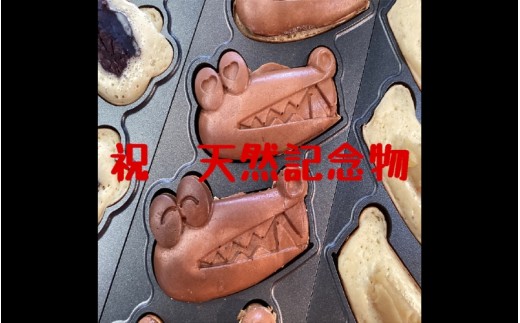 豊中マチカネ1015(あずき5匹) 2304123 - 大阪府豊中市