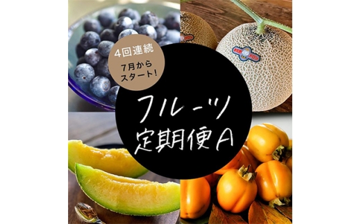 ＜発送月固定定期便＞フルーツ定期便A 旬の美味しい果物を毎月1種全4回【4014614】