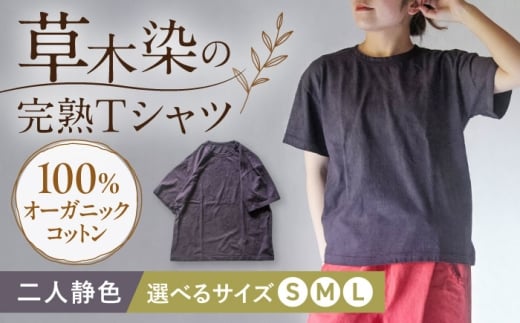 オーガニックコットン 完熟Tシャツ　【二人静色】Lサイズ / オーガニック コットン 綿100　手染め 草木染め Ｔシャツ 半袖 トップス ファッション インナー 女性用 レディース 男性用 メンズ ユニセックス 男女兼用 ギフト 贈答 プレゼント / 大村市 / ISTIST [ACZW059-3]
