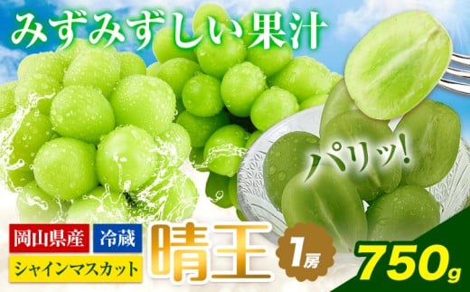 シャインマスカット 岡山県産 シャインマスカット 晴王 1房 750g《2025年9月上旬-10月末頃出荷》 ハレノフルーツ マスカット 送料無料 岡山県 浅口市 フルーツ 果物 贈り物 ギフト 国産 岡山県産 くだもの 青果物【配送不可地域あり】
