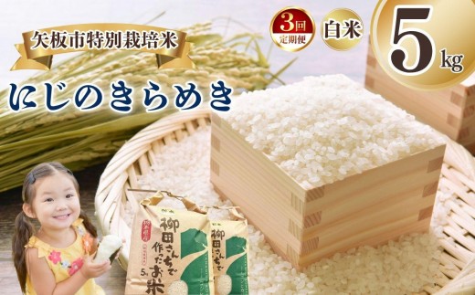 [定期便3回]矢板市特別栽培米 にじのきらめき 白米 5kg | お米 米 こめ 白米 玄米 にじのきらめき コシヒカリ こしひかり 美味しい お弁当 選べる エコ スマート 環境 手間暇 土づくり  ふるさと 納税 栃木県 矢板市 2325022 - 栃木県矢板市