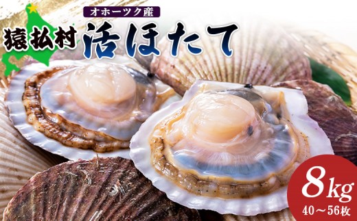 「活ほたて」8kg（40～56枚）　オホーツク産