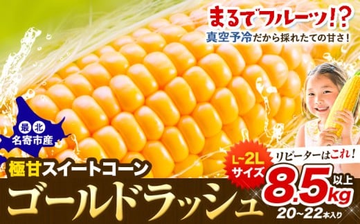 【先行予約】【特大】とうもろこし 極甘 ス