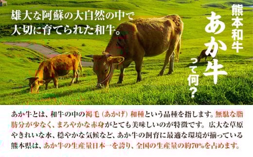 あか牛リブローススライスセット(あか牛リブローススライス約400g、あか牛のたれ200ml)