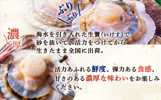 「活ほたて」3kg（15～21枚）　オホーツク産