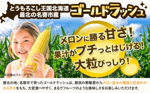 北海道名寄市のふるさと納税 【先行予約】【特大】とうもろこし 極甘 スイートコーン 「 ゴールドラッシュ 」 8.5kg 以上 【2026年8月上旬-9月中旬頃出荷】 とうもろこし 極甘 スイートコーン 「 ゴールドラッシュ 」 特大 北海道20～22本 特大 サイズ北海道 朝採れ 真空予冷 冷蔵 高糖度  トウモロコシ ギフト お中元 コーン　なよろイエロー　名寄イエロー　TVで紹介