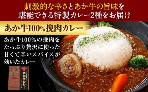あか牛カレー詰め合わせセット(あか牛カレー180g×2、あか牛100％挽肉カレー220g×2)