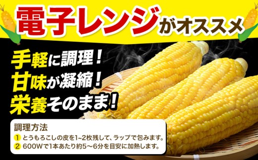 北海道名寄市のふるさと納税 【先行予約】【特大】とうもろこし 極甘 スイートコーン 「 ゴールドラッシュ 」 8.5kg 以上 【2026年8月上旬-9月中旬頃出荷】 とうもろこし 極甘 スイートコーン 「 ゴールドラッシュ 」 特大 北海道20～22本 特大 サイズ北海道 朝採れ 真空予冷 冷蔵 高糖度  トウモロコシ ギフト お中元 コーン　なよろイエロー　名寄イエロー　TVで紹介