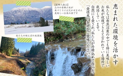新潟県南魚沼市のふるさと納税 【生産者直送】【令和７年産 新米】南魚沼産こしひかり5kg(5kg×1)玄米 オグライスファーム＜コシヒカリ 農家直送＞【2025年11月上旬頃より順次発送予定】