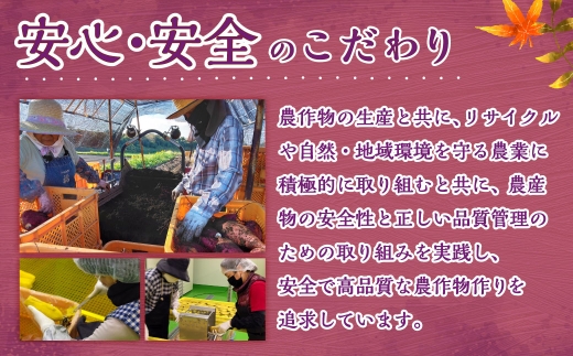 有機宮崎県産ほしいも（紅はるか）400g