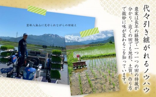 新潟県南魚沼市のふるさと納税 【生産者直送】【令和７年産 新米】南魚沼産こしひかり5kg(5kg×1)玄米 オグライスファーム＜コシヒカリ 農家直送＞【2025年11月上旬頃より順次発送予定】