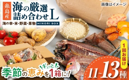 糸島産 魚 米 野菜 果物 厳選詰め合わせ MINORI BOX Lサイズ 糸島市 / emma.Inc / 米 魚 野菜 果物 詰め合わせ [AOP027]