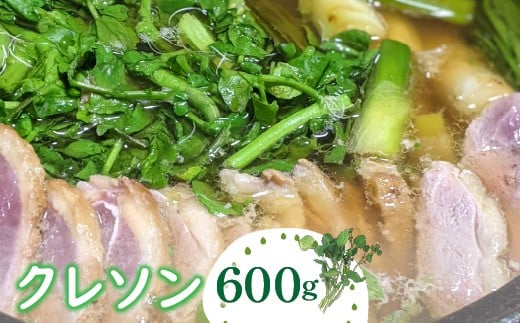 クレソン 600g ※北海道・沖縄・離島への配送不可 ※着日指定不可 ふるさと納税 野菜 やさい クレソン 付け合わせ 山梨県 道志村 送料無料 DSL005 723413 - 山梨県道志村