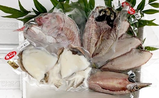 【倉敷市下津井産】おまかせ一夜干し5点セット 4種 天然鯛 干し魚 一夜干し 干物 魚 魚介 海産物 詰め合わせ 食べ比べ セット 岡山県 倉敷市