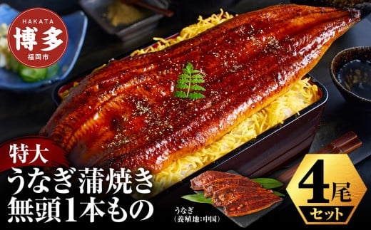 特大うなぎ蒲焼き無頭1本もの4尾セット 福岡市(中国産)