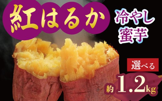 予約 焼き芋 蜜芋 冷蔵 紅はるか 約1.2kg 芋 さつまいも おいも お芋 やきいも サツマイモ おやつ スイーツ デザート コグマ ダイエット 低GI 食物繊維  香川県 丸亀市 配送：11月下旬～