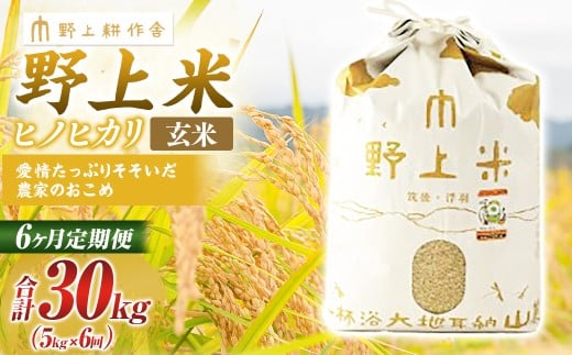 【6か月定期便】 玄米 野上米 5㎏×6回 計30kg 【2025年10月下旬より発送予定】 ヒノヒカリ 米 こめ コメ お米 常温 国産