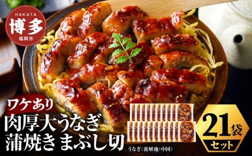 肉厚大うなぎ蒲焼きワケありまぶし切 21袋セット 福岡市(中国産)
