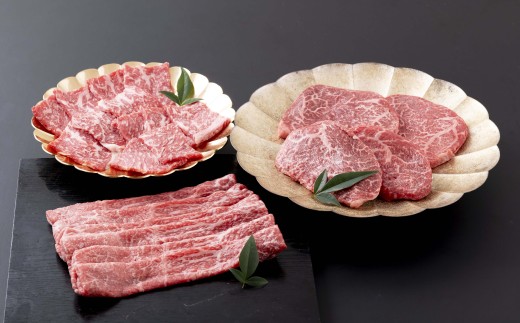 《定期便》長崎県産牛 赤身 ぜいたく便【12回お届け】