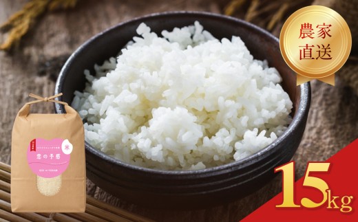 令和7年度米  恋の予感 精米 15kg 