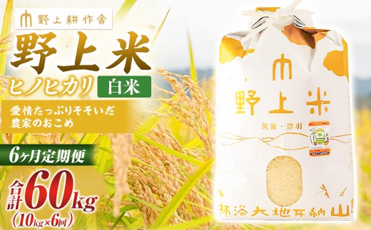 【6か月定期便】 白米 野上米 10㎏×6回 計60kg 【2025年10月下旬より発送予定】 ヒノヒカリ 米 こめ コメ お米 常温 国産