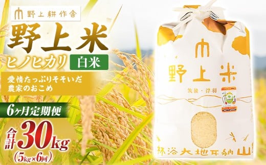 【6か月定期便】 白米 野上米 5㎏×6回 計30kg 【2025年10月下旬より発送予定】 ヒノヒカリ 米 こめ コメ お米 常温 国産