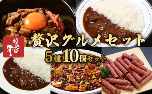新発田牛 贅沢グルメセット 5種 各2個セット 牛すじカレー 贅カレー 牛丼の具 麻婆豆腐の素 サラミ 詰め合わせ ブランド牛 牛肉 贈答 プレゼント ギフト レトルト カレー 牛丼 サクラフーズ 新潟 新発田 sakurafoods002