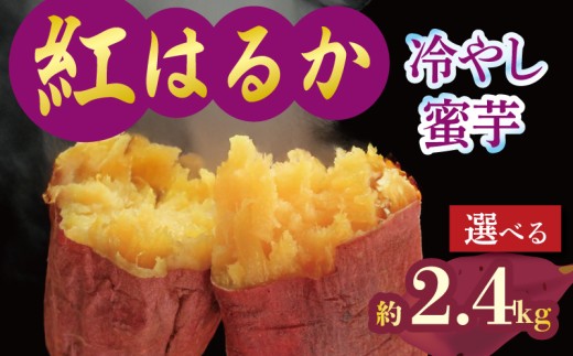予約 焼き芋 蜜芋 冷蔵 紅はるか 約1.2kg 約2.4kg 芋 さつまいも おいも お芋 やきいも サツマイモ おやつ スイーツ デザート コグマ ダイエット 低GI 食物繊維  香川県 丸亀市 配送：11月下旬～