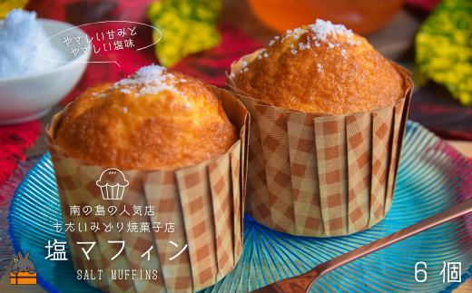2485 ～南の島の人気店～もたいみどり焼菓子店の塩マフィン（6個） ( こだわりの塩 塩 ふわふわ 甘み 塩味 洋菓子 ケーキ 焼菓子 南の島 徳之島 鹿児島 美味しい スイーツ 人気店 )