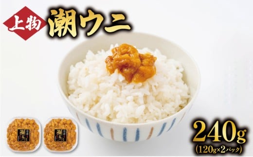 上物 潮ウニ 240g (120g×2) 冷凍 ミョウバン不使用 雲丹 寿司 汐うに 塩うに 海鮮 魚貝類 魚介類 キタムラサキウニ 小分け 塩水 天然 刺身 ウニ丼 ご飯 白米 おつまみ 三陸産 岩手県 大船渡市 555626 - 岩手県大船渡市