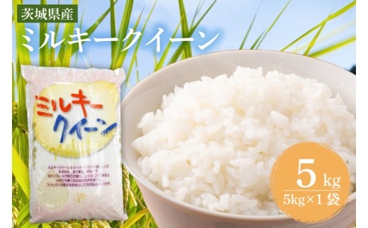 茨城県産ミルキークイーン 5kg (5kg×1袋) 【米 お米 白米 精米  おにぎり 茨城県産 鹿嶋市 国産 送料無料】 (KY-23)