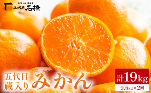 五代目・蔵入りみかん計19㎏（9.5㎏×2回）／ふるさと納税 佐賀 みかん オレンジ フルーツ濃厚 甘い 酸味 大町 贈答 ギフト 贈り物 42ik-006