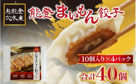奥能登 穴水産 「能登まいもん餃子」 40個（10個入 × 4パック）| 奥能登 能登半島 冷凍 小分け ぎょうざ ギョーザ レシピ付き 冷凍餃子 もちもち 能登豚 キャベツ ジューシー 