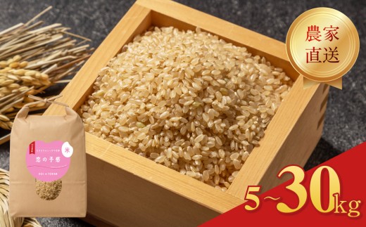 令和7年度米 玄米 5kg 10kg 15kg 20kg 30kg 選べる 容量 ( 恋の予感 米 こめ お米 白米 玄米 お取り寄せ 食品 人気 おすすめ プレゼント ギフト 贈答 家庭用 便利 お手軽 備蓄 ご飯 お弁当 おにぎり 山口県産 産地直送 美味しい米 ) 山口 下関
