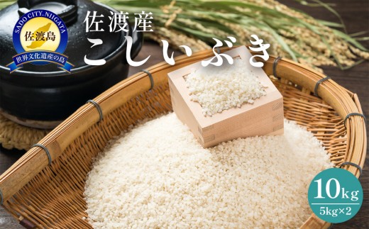 佐渡島産　こしいぶき　10kg（5kg×2）　令和7年産 1921857 - 新潟県佐渡市