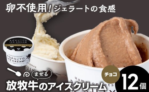 放牧牛 アイスクリーム12個（チョコ） 【池田牧場】