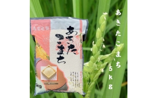 令和7年産　青森県産あきたこまち白米(真空パック)　精米5kg【1618112】