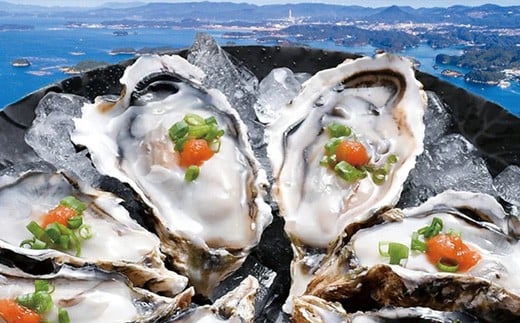 A493 九十九島産ハーフシェル「真がき｣(30個入)