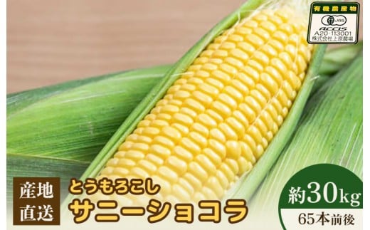 【2026年度発送分】上原農場直送 有機栽培とうもろこし (サニーショコラ) 約30kg 約65本前後 | ふるさと納税 北海道 中標津 なかしべつ とうもろこし サニーショコラ とうきび コーン 野菜 夏野菜 夏 産地直送 新鮮 採れたて 朝採れ 甘い お取り寄せ ワンストップ マイページ 上原農場 中標津町【66021】