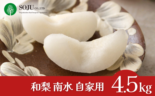 和梨 南水 自家用 約4.5kg 令和7年度 樹上完熟日本梨 新潟県 三条市産 [三条果樹専門家集団] 【010S830】