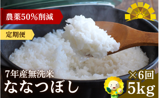 定期便6ヶ月 令和7年産新米 無洗米 ななつぼし 5kg×6回【sun500-nana-m5×6-R7】
