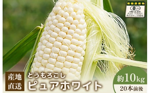 【2026年度発送分】上原農場直送　有機栽培とうもろこし (ピュアホワイト) 約10kg 約20本前後 | ふるさと納税 北海道 中標津 なかしべつ とうもろこし ピュアホワイト とうきび コーン 野菜 夏野菜 夏 産地直送 新鮮 採れたて 朝採れ 甘い お取り寄せ ワンストップ マイページ 上原農場 中標津町【66017】